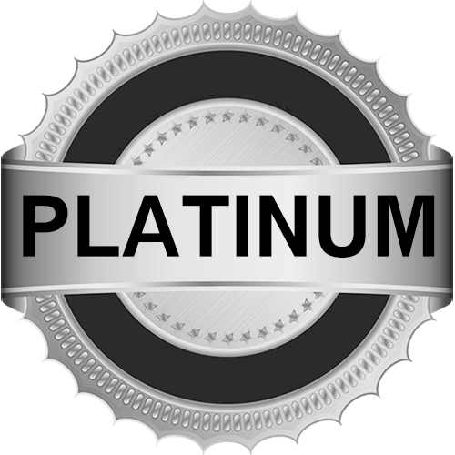 Platinum Level Support